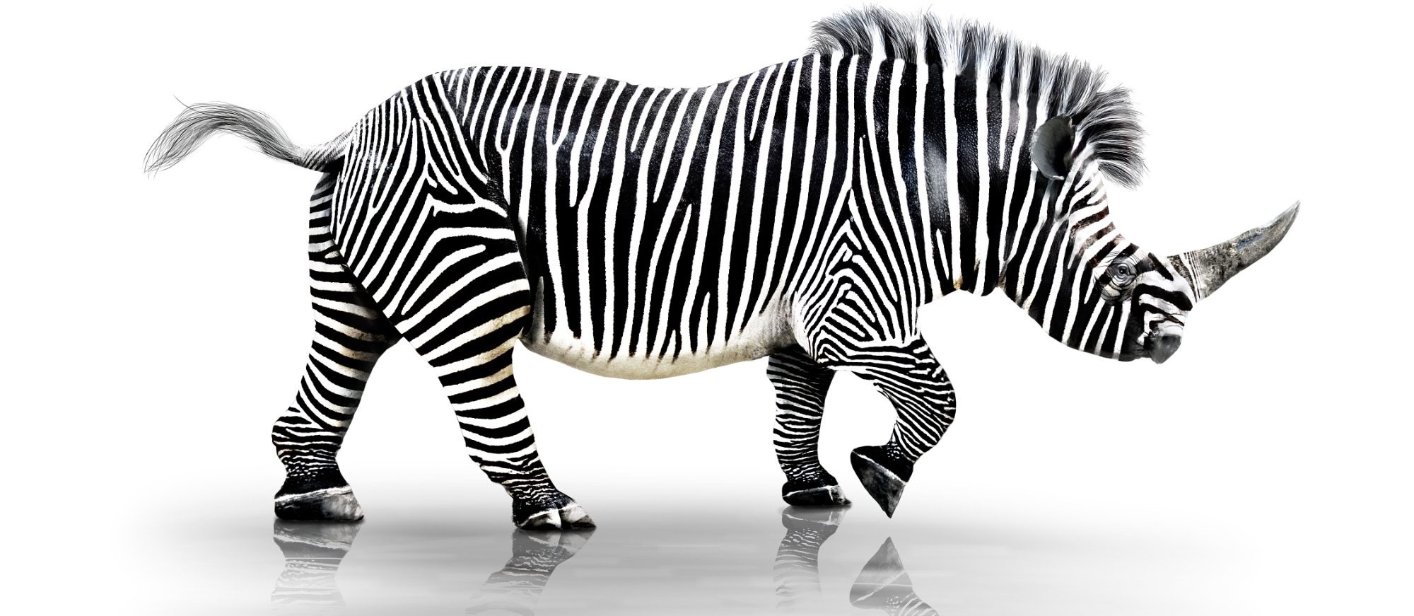 Klarheit im Muster. Stärke im Handeln